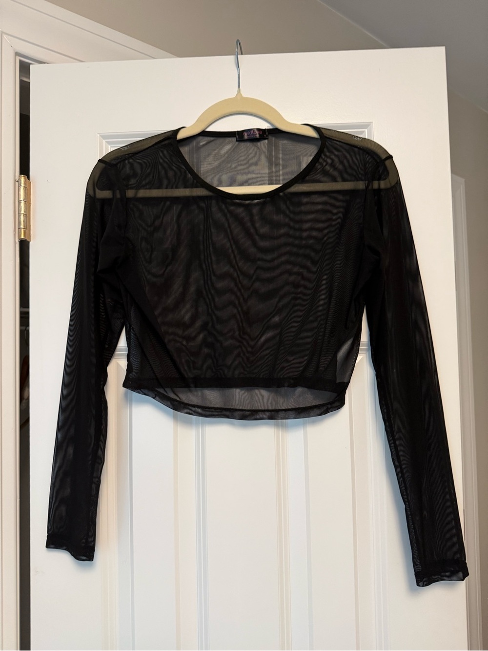 Black Sheer Long-Sleeve Crop Top - Women